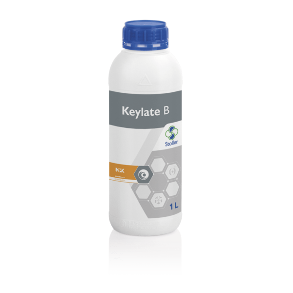 KEYLATE_B2-min