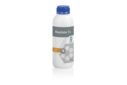 Keylate Fe