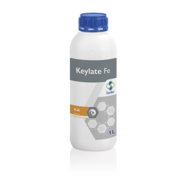 KEYLATE_FE-min