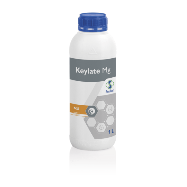 KEYLATE_MG2-min