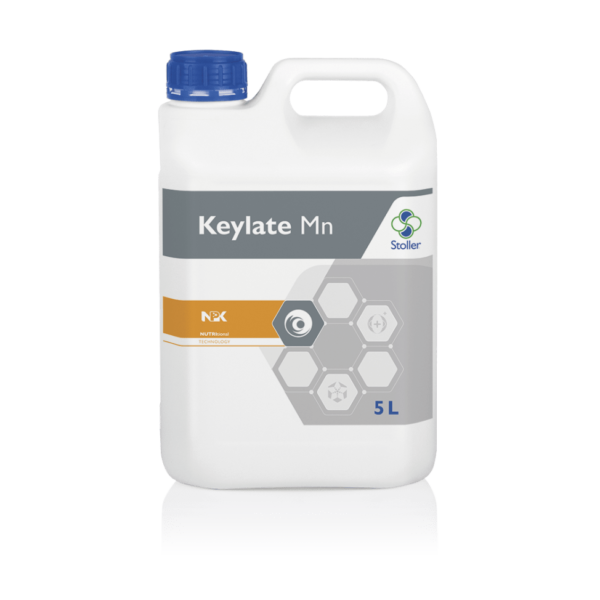 KEYLATE_MN-min
