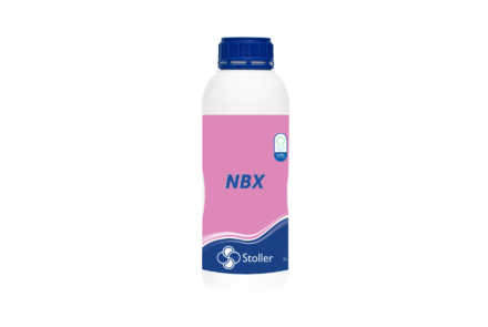 NBX