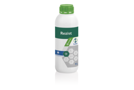 Rezist