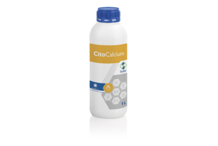 Citocalcium