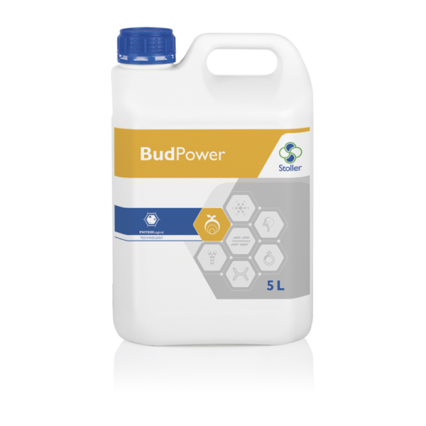 bud2
