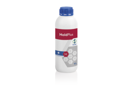 Hold Plus