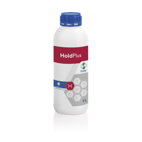 hold