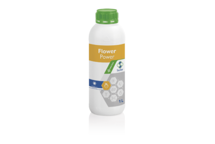 Flower Power