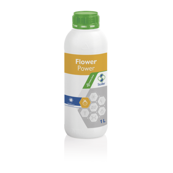FLOWER-min