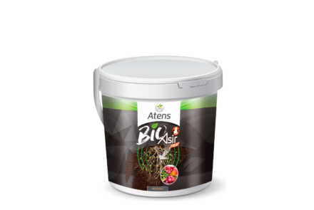 ASIR FRUIT BIO