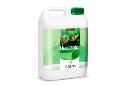 HEPTABIOL