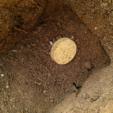 ASIR FRUIT BIO
