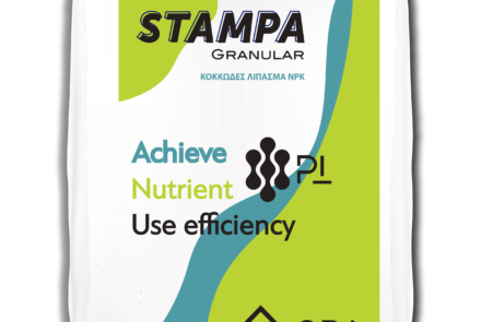 STAMPA Granular