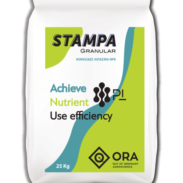 STAMPA