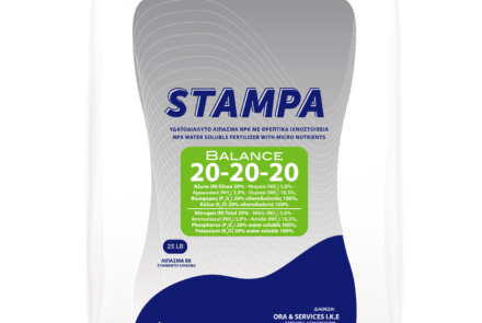 STAMPA BALANCE 20-20-20 +TE
